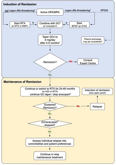 vasculitis package test|vasculitis treatment guidelines.